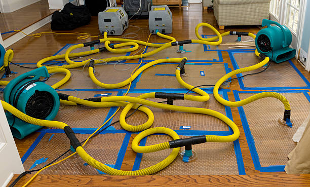 Professional Basement Flood Cleanup technician working in Danville, NH